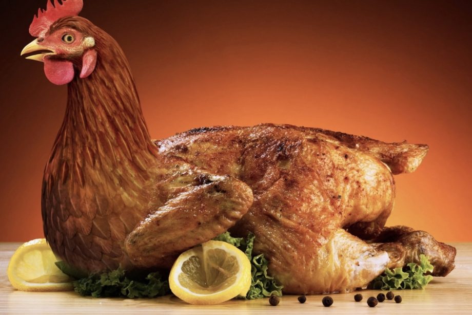 Kana – kotikotkottaja vai kauppakassin kermaa?